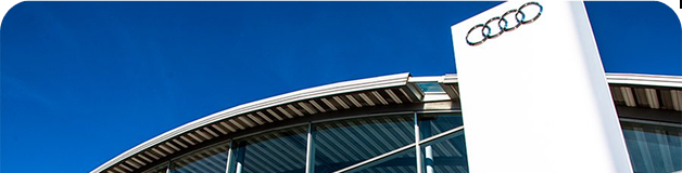 M.Conde Premium Aguacate